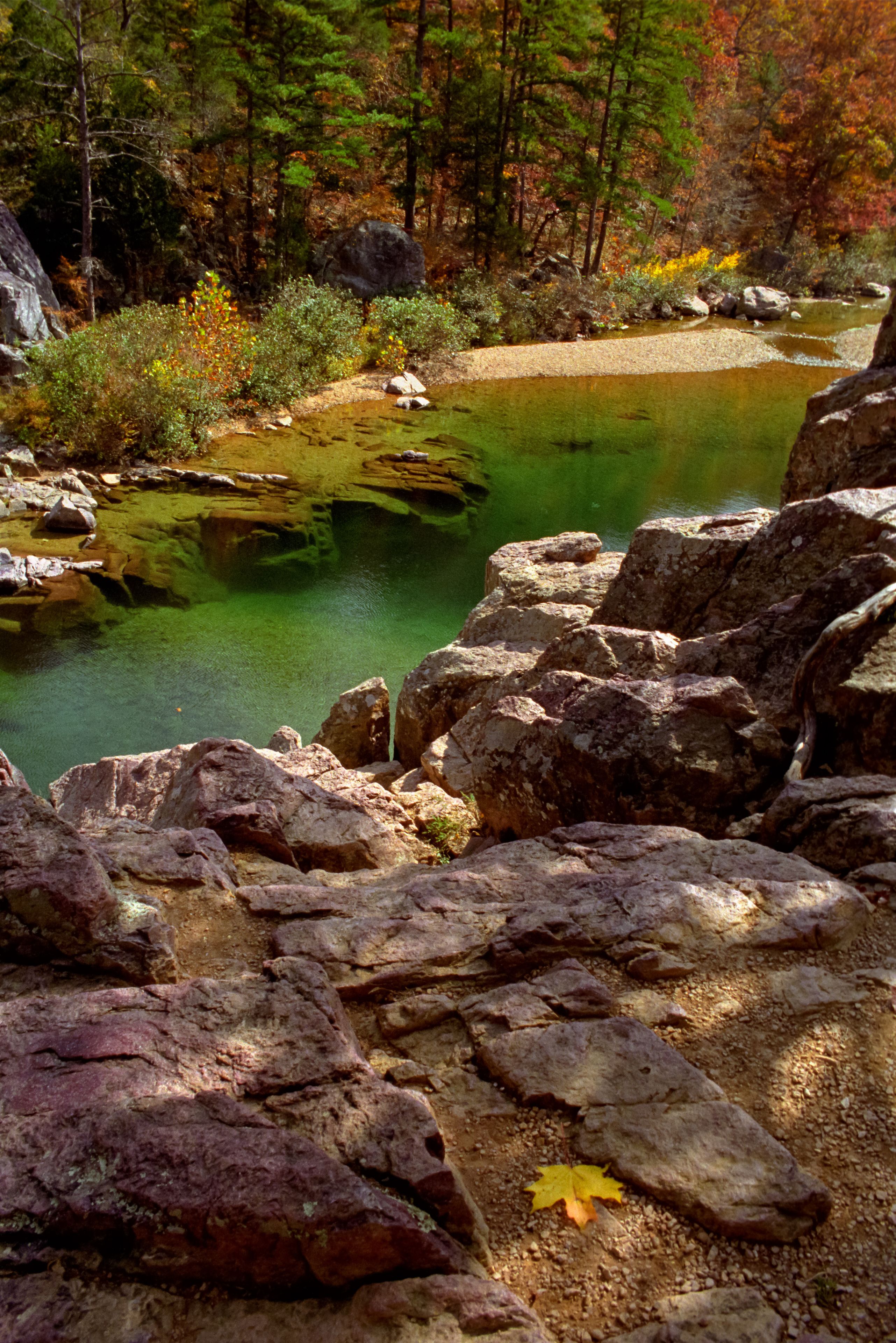A clear mountain stream surrounded by rocks and autumn-colored trees.