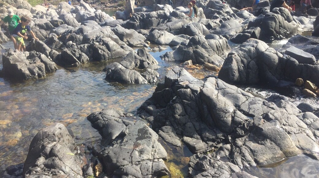 Great place to go in the summer and explore!