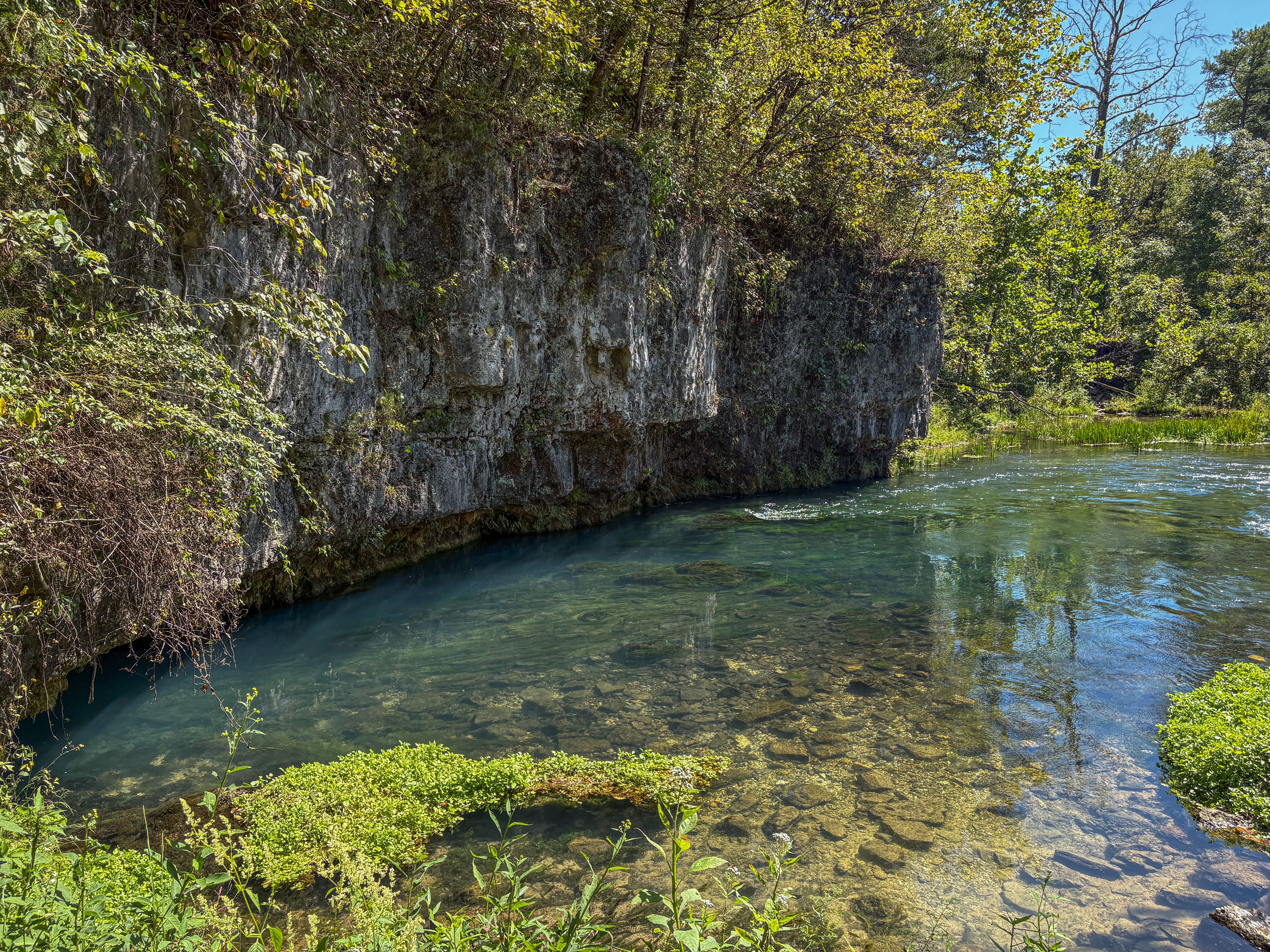 A clear river flowing through a rocky gorge with dense foliage on the banks.