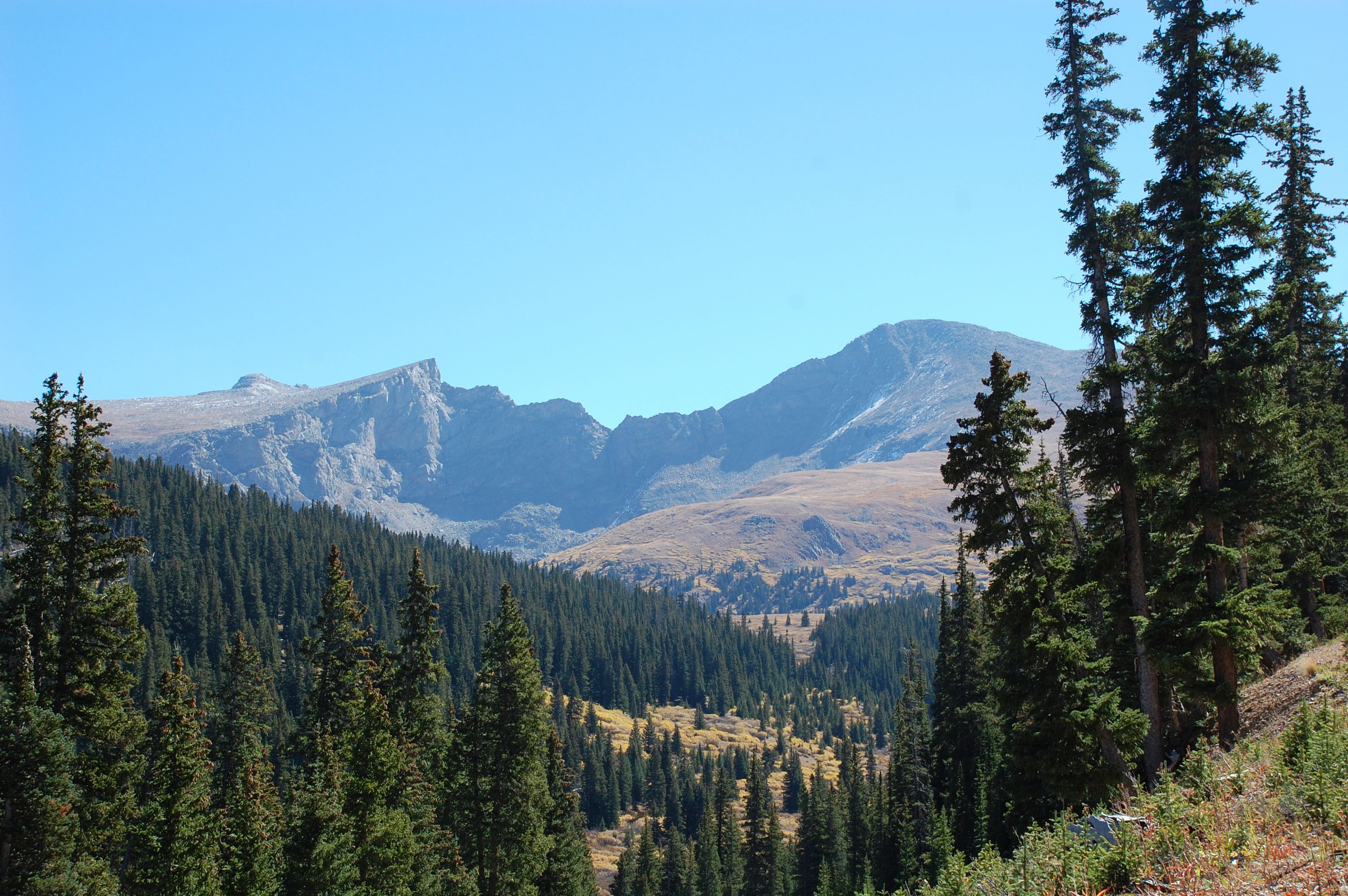 A mountainous landscape with dense coniferous forests and rugged peaks.