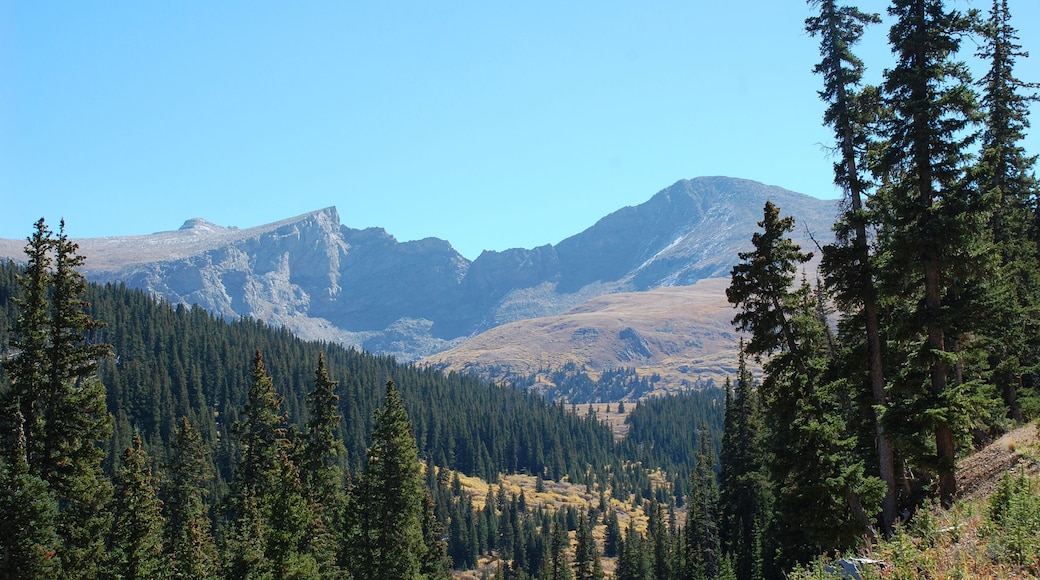 A mountainous landscape with dense coniferous forests and rugged peaks.