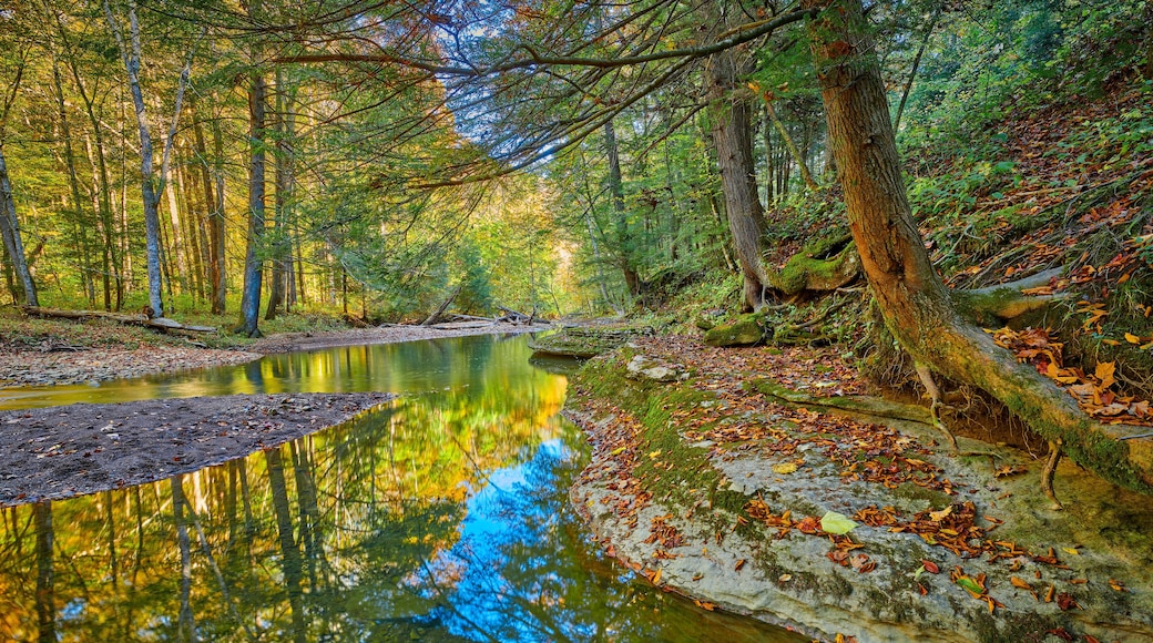 View of War Creek next to Turkey Foot Campground near McKee, KY.