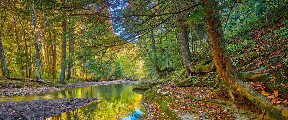 View of War Creek next to Turkey Foot Campground near McKee, KY.