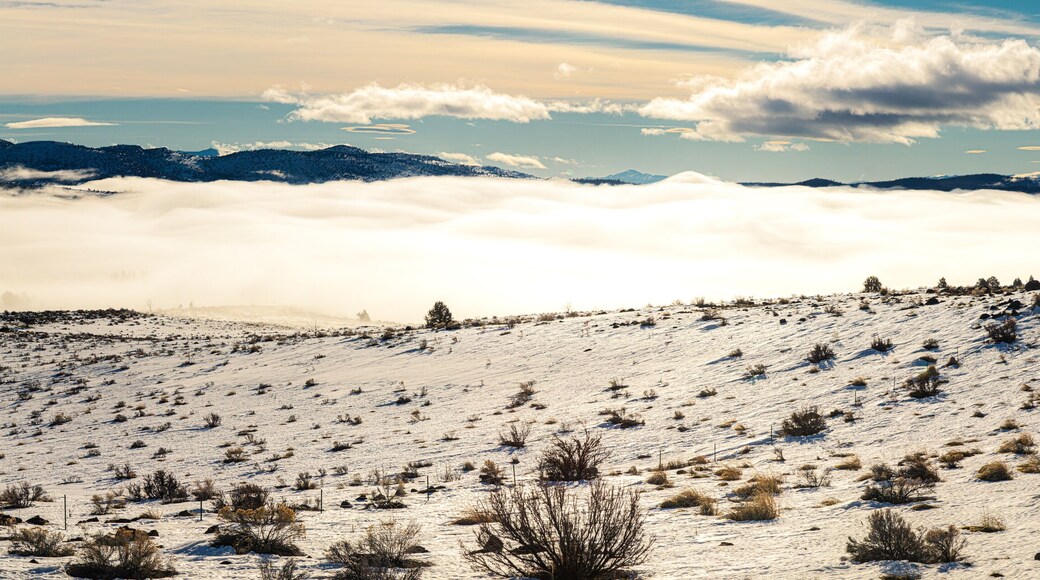 Panoramic image of fog in the Willow Creek Valley of Lassen County, California, USA. Photographed from above as late morning sun reflected off the fog.