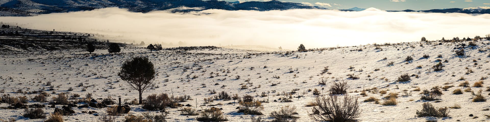 A snow-covered landscape with a tree, mountains, and clouds.