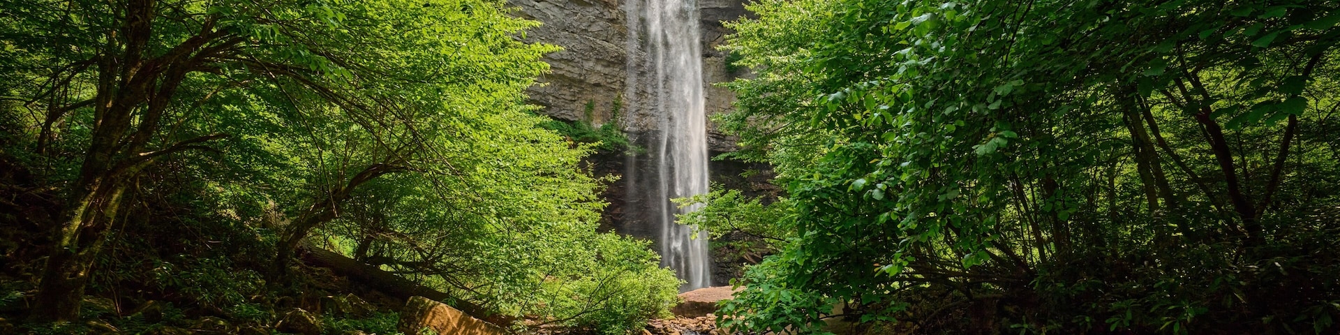 A waterfall surrounded by dense green foliage.