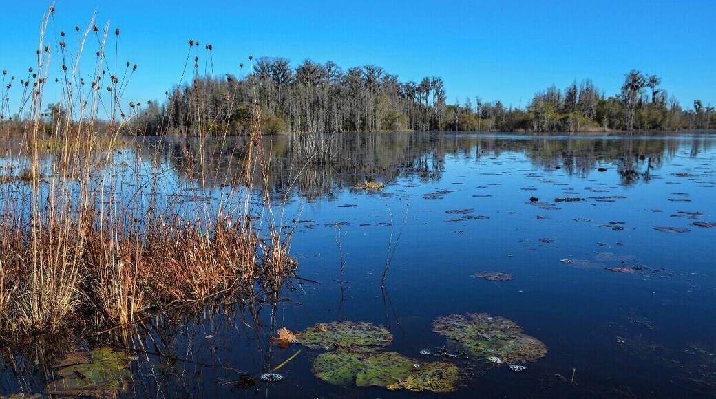 You don't have to paddle far into the Okefenokee National Wildlife Refuge to find yourself far away from other people. Because of heat and bugs, summer is probably not the best time to visit, but the other three seasons are fine. Winter can be cool, but you'll find deep blue skies and water.