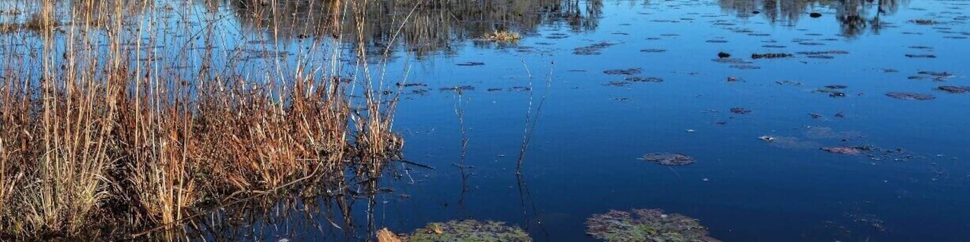 You don't have to paddle far into the Okefenokee National Wildlife Refuge to find yourself far away from other people. Because of heat and bugs, summer is probably not the best time to visit, but the other three seasons are fine. Winter can be cool, but you'll find deep blue skies and water.