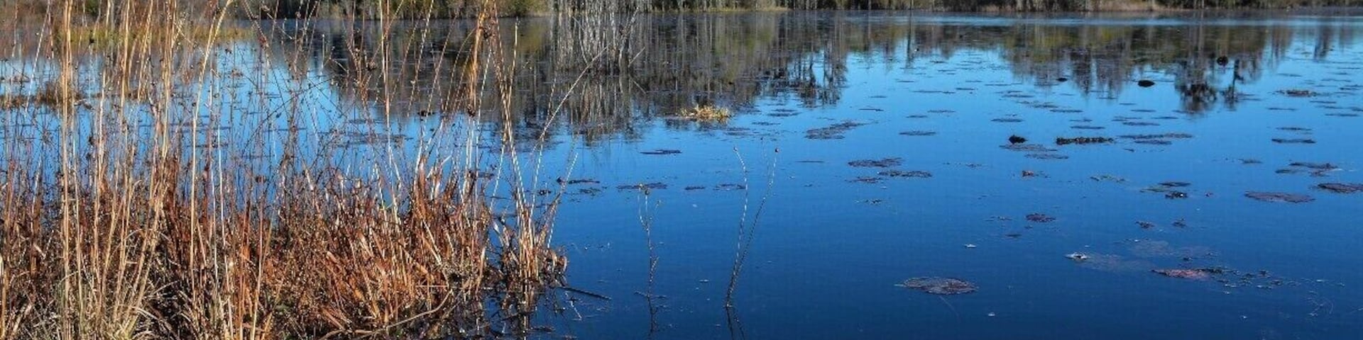 You don't have to paddle far into the Okefenokee National Wildlife Refuge to find yourself far away from other people. Because of heat and bugs, summer is probably not the best time to visit, but the other three seasons are fine. Winter can be cool, but you'll find deep blue skies and water.