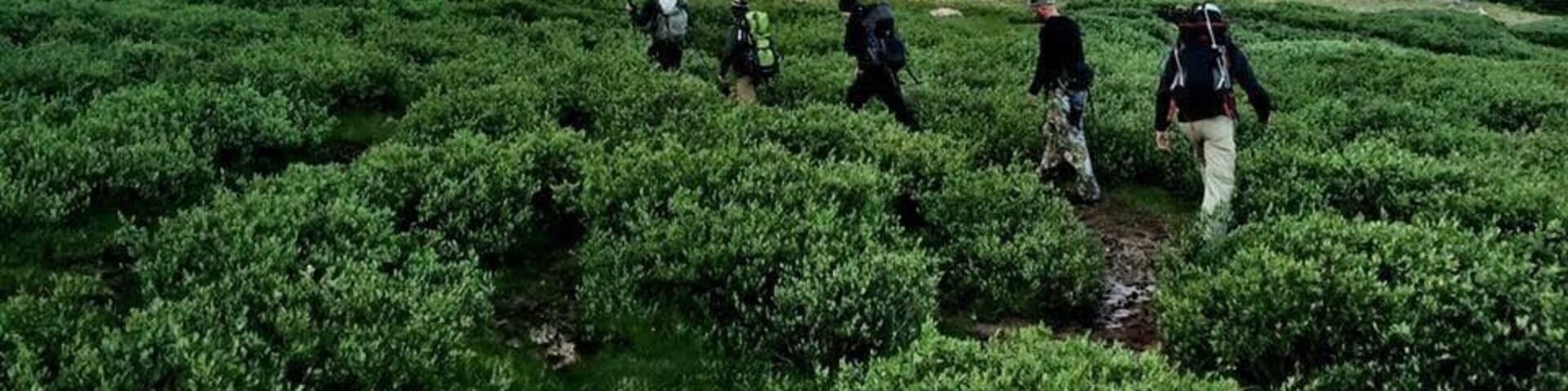 What an awesome backpacking trip in the Unitas. I snapped this photo early morning heading towards Gunsight Pass on our way to ascend Kings Peak. Kings peak is the highest point in Utah at 13,534 ft. The sunrise lit up the Peak in the distance like a beacon guiding us to this surreal place.
#utah #lifeelevated