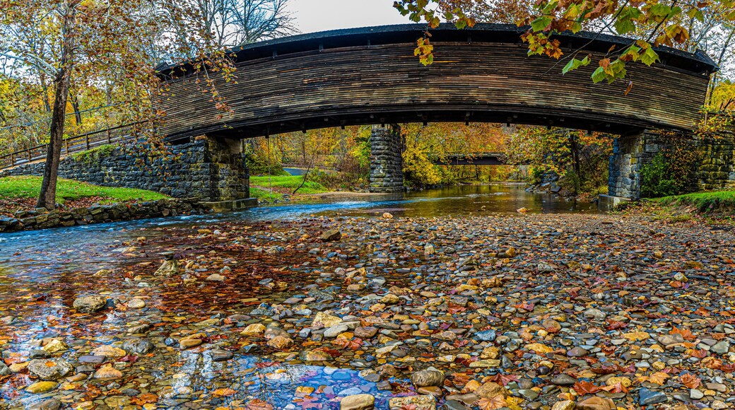 The Historic Humpback Bridge With Fall Color, Allegheny County, Virginia, USA