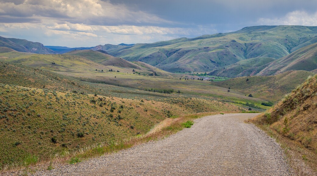 Road among amazing green fields. Oregon, Baker County, Lookout Mountain rd