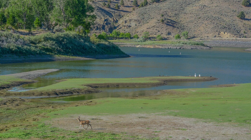 Unity Lake State Park in the high desert wilderness of Baker City, Baker County, Oregon