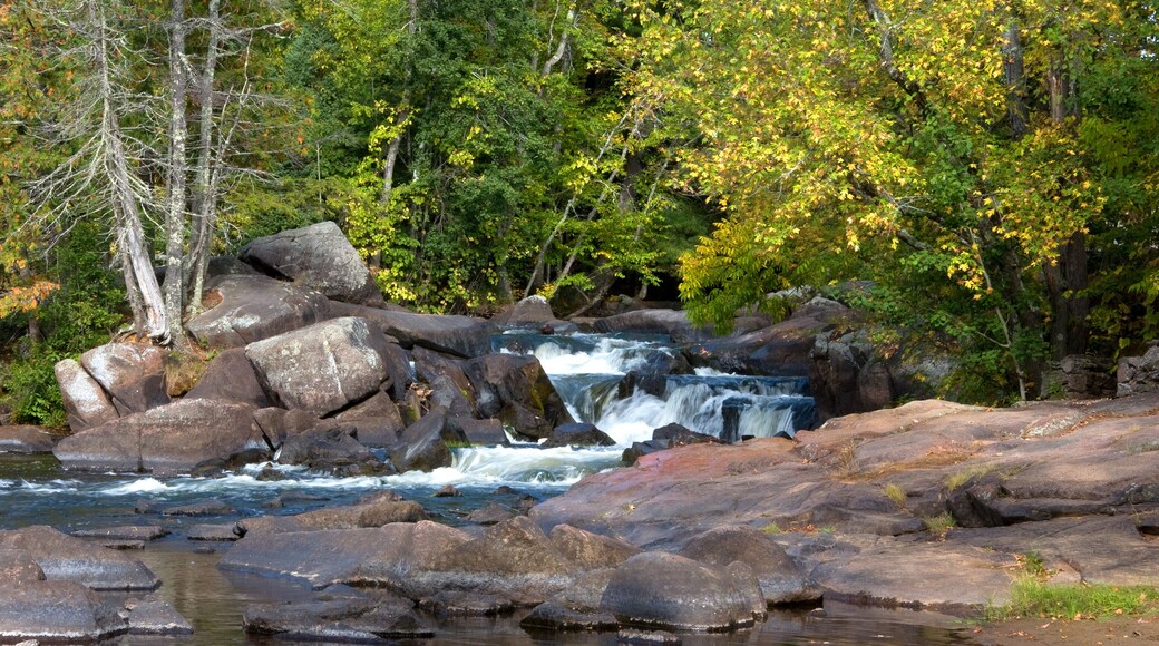 A river flowing over rocks with autumn foliage in the background.