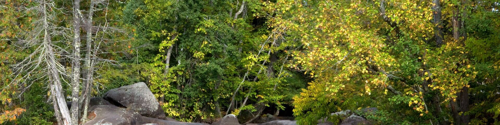 A river flowing over rocks with autumn foliage in the background.