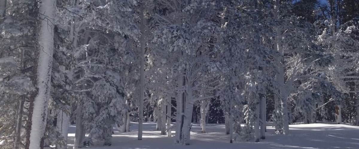 Fresh white powder !!
#skiing
#wyoming
#winter