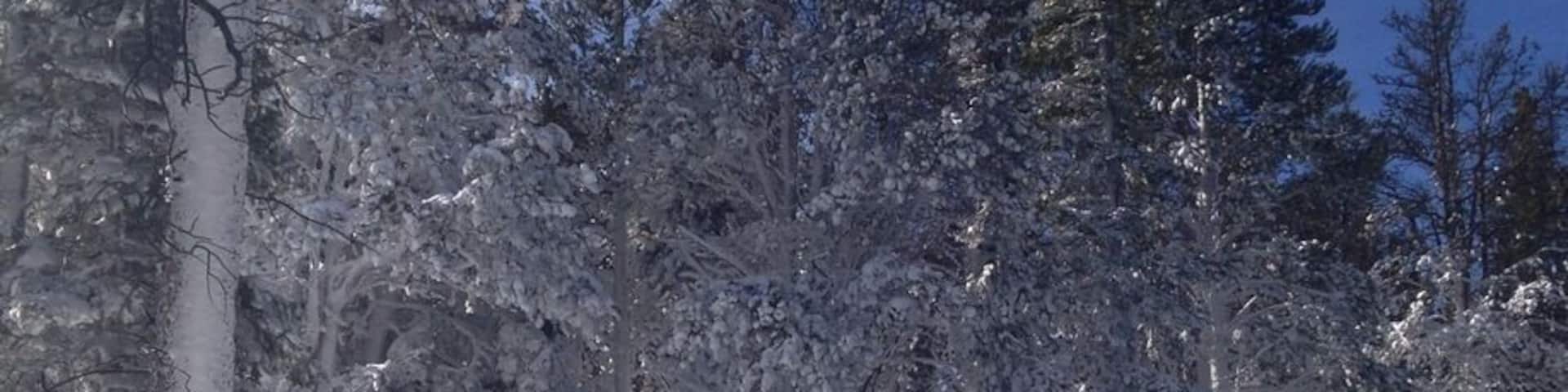 Fresh white powder !!
#skiing
#wyoming
#winter