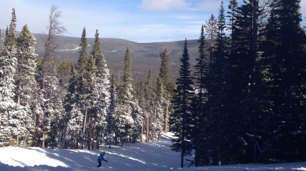 Beautiful views of the snowy range mountains in Wyoming! Elevation over 10,000 feet cold crisp air.
#10000elevation#wyoming#skiing