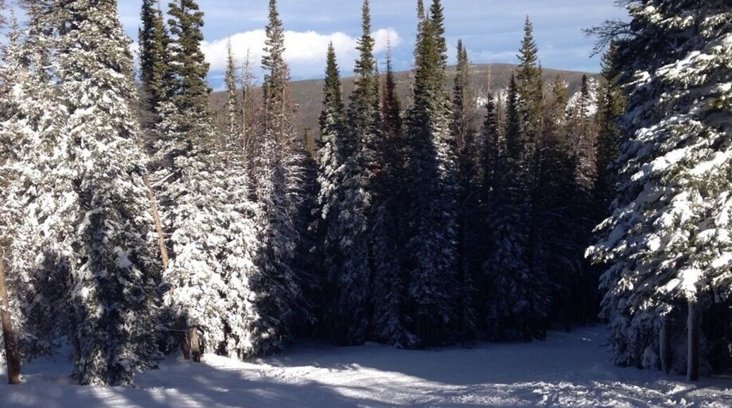 More fresh powder!
#winter
#snow#snowyrange