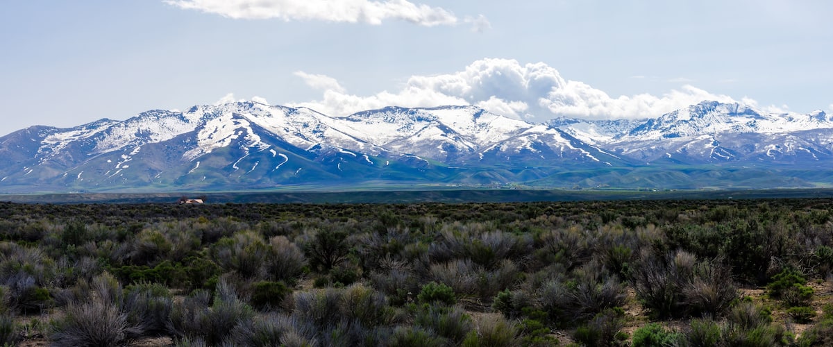 A mountain range with snow-capped peaks, a clear sky, and a desert landscape in the foreground.