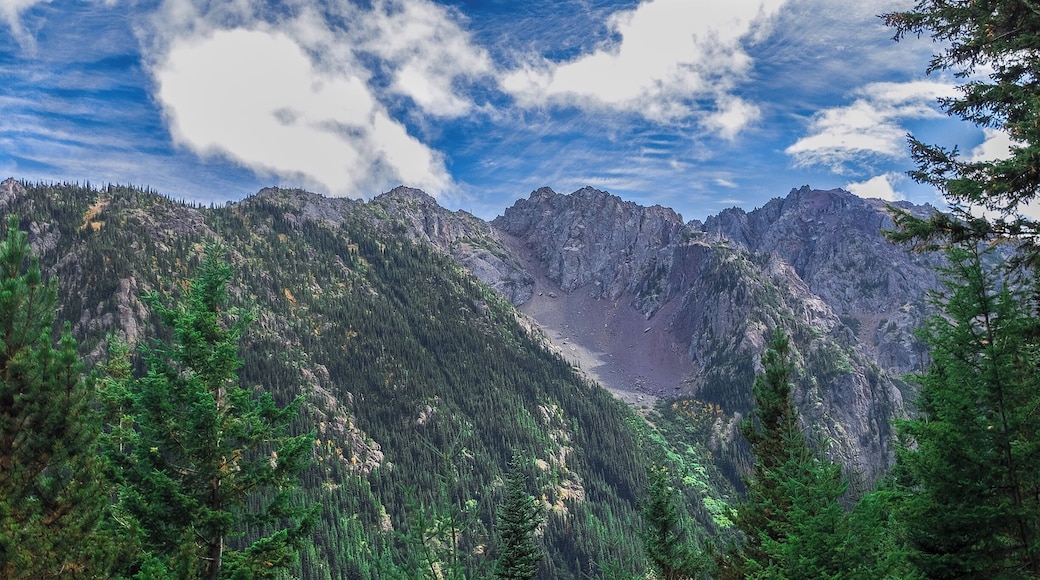 Iron Mountain from the opposite ridge along the Tubal Cain Mine Trail.