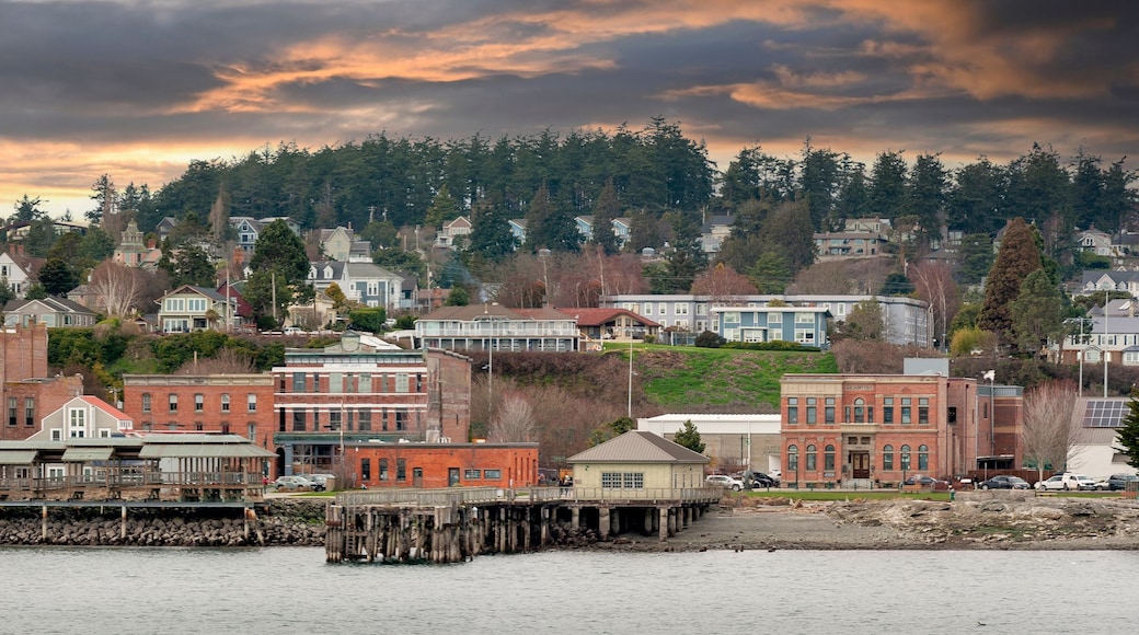 A waterfront town with historic buildings, a wooden pier, and a backdrop of dense forest.