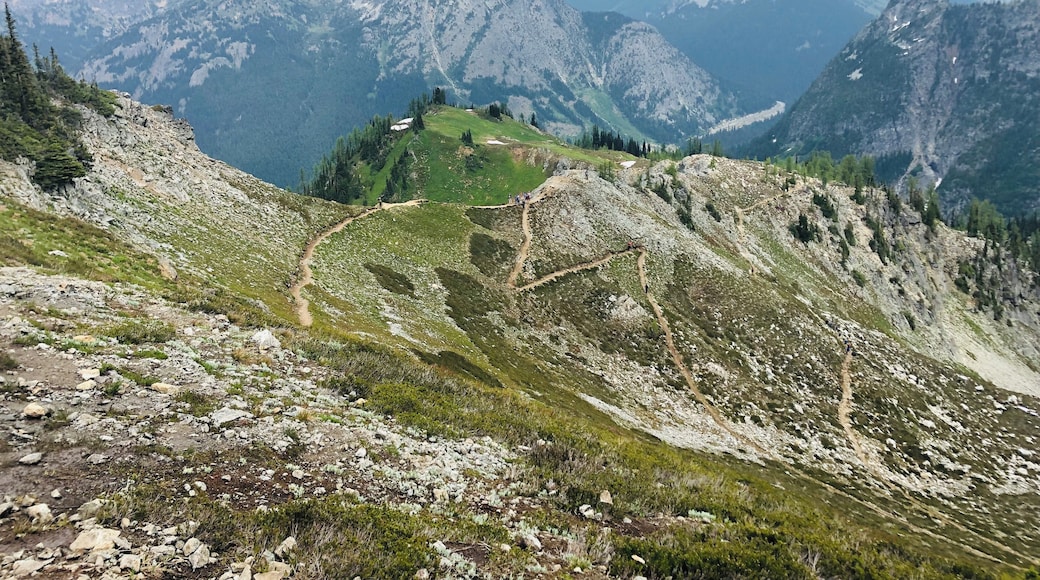 A path can take you anywhere, this one brought me pure bliss in the heart of the Northern Cascade National Park #adventure