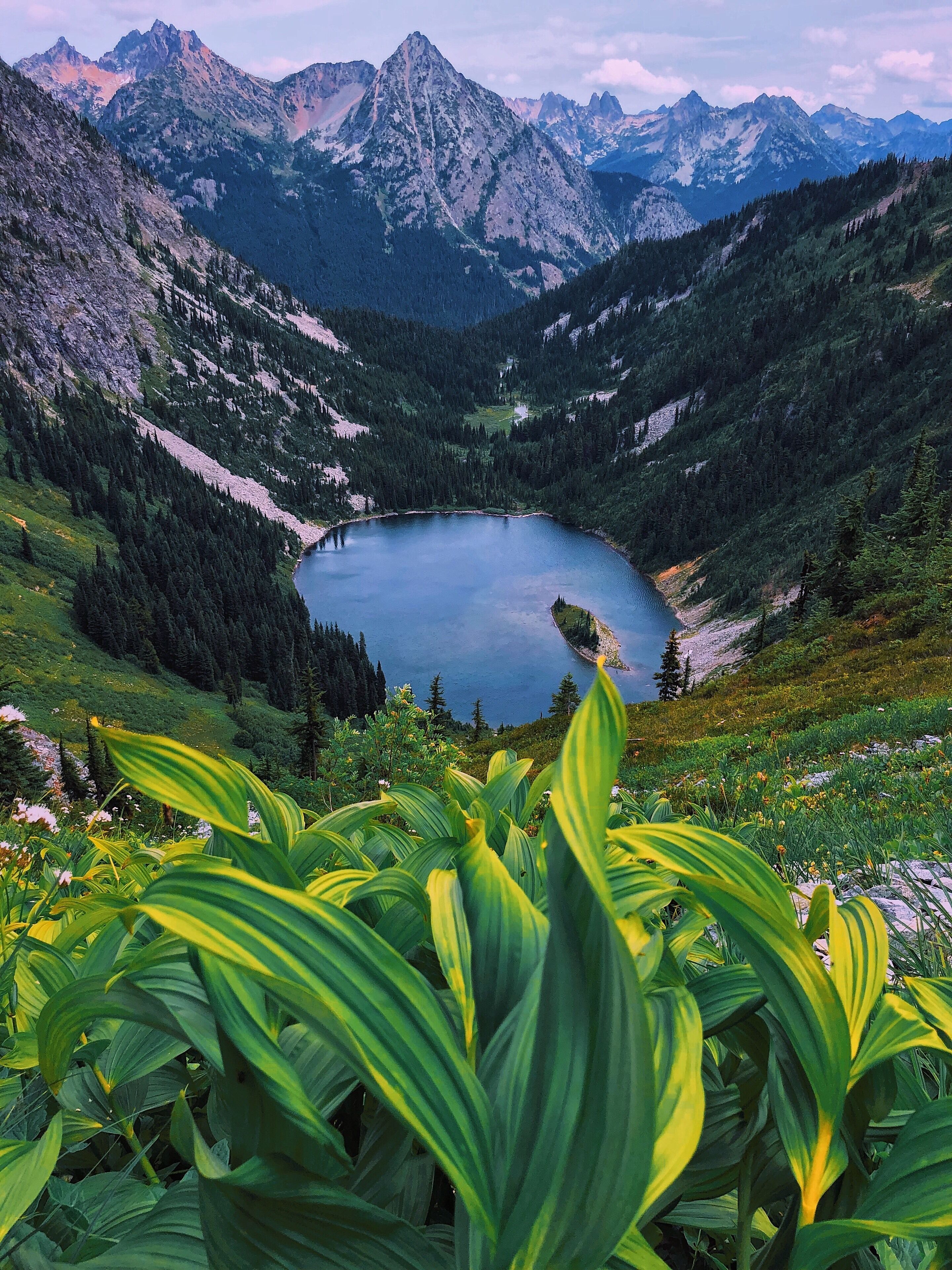 Hiking in the Summer in the North Cascades is one of my favorite things to do #adventure #colorful #hiking #nature