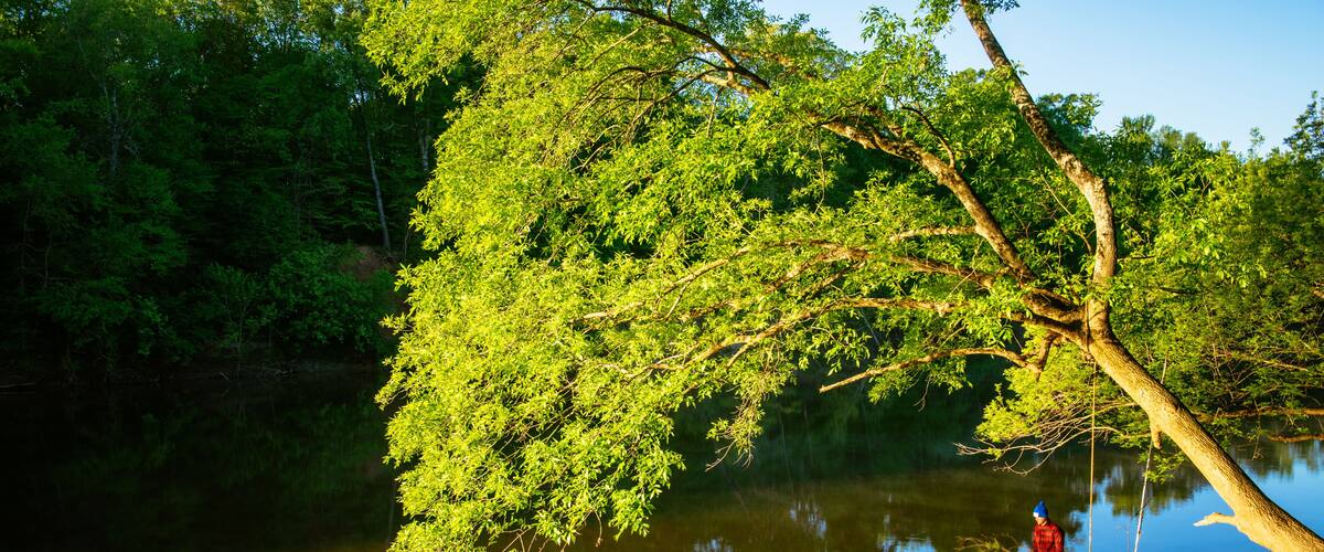 A man in a red jacket stands on a boat dock in the sun along the cape fear river in north carolina