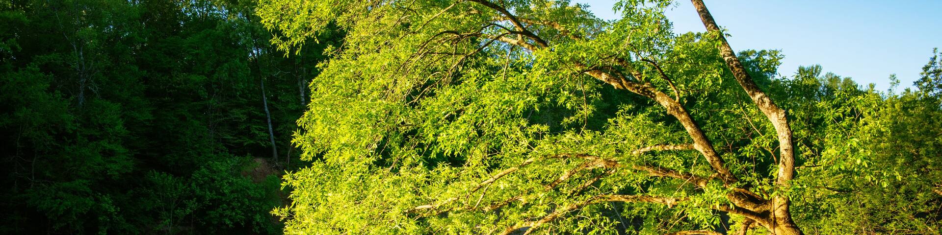 A man in a red jacket stands on a boat dock in the sun along the cape fear river in north carolina