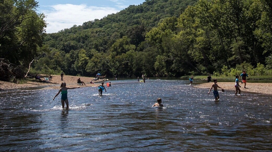 A beautiful day on the St. Francis River! My wife and I went camping here last summer. They have great campgrounds, and the hiking is amazing!
#mostatepark #summerdays #camping