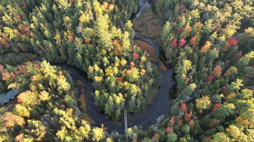 Vince Smith Memorial Bridge, North Country Trail, Manistee National Forest, Michigan