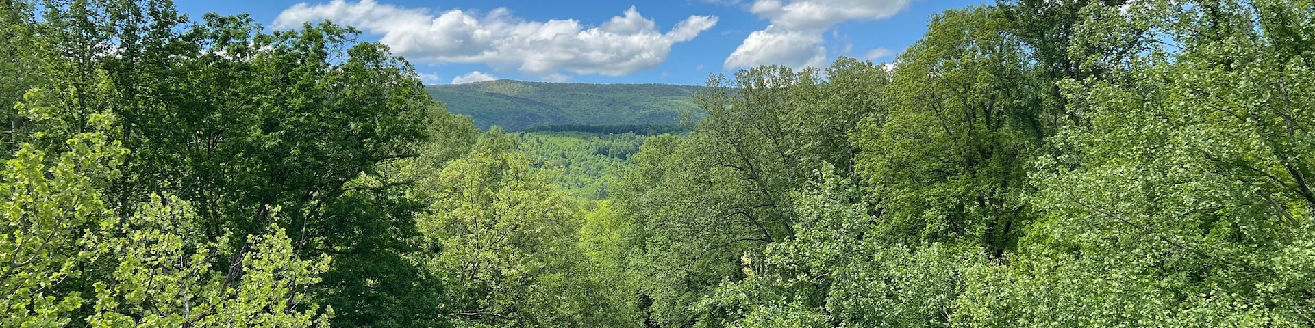Craig Creek - Botetourt County, VA