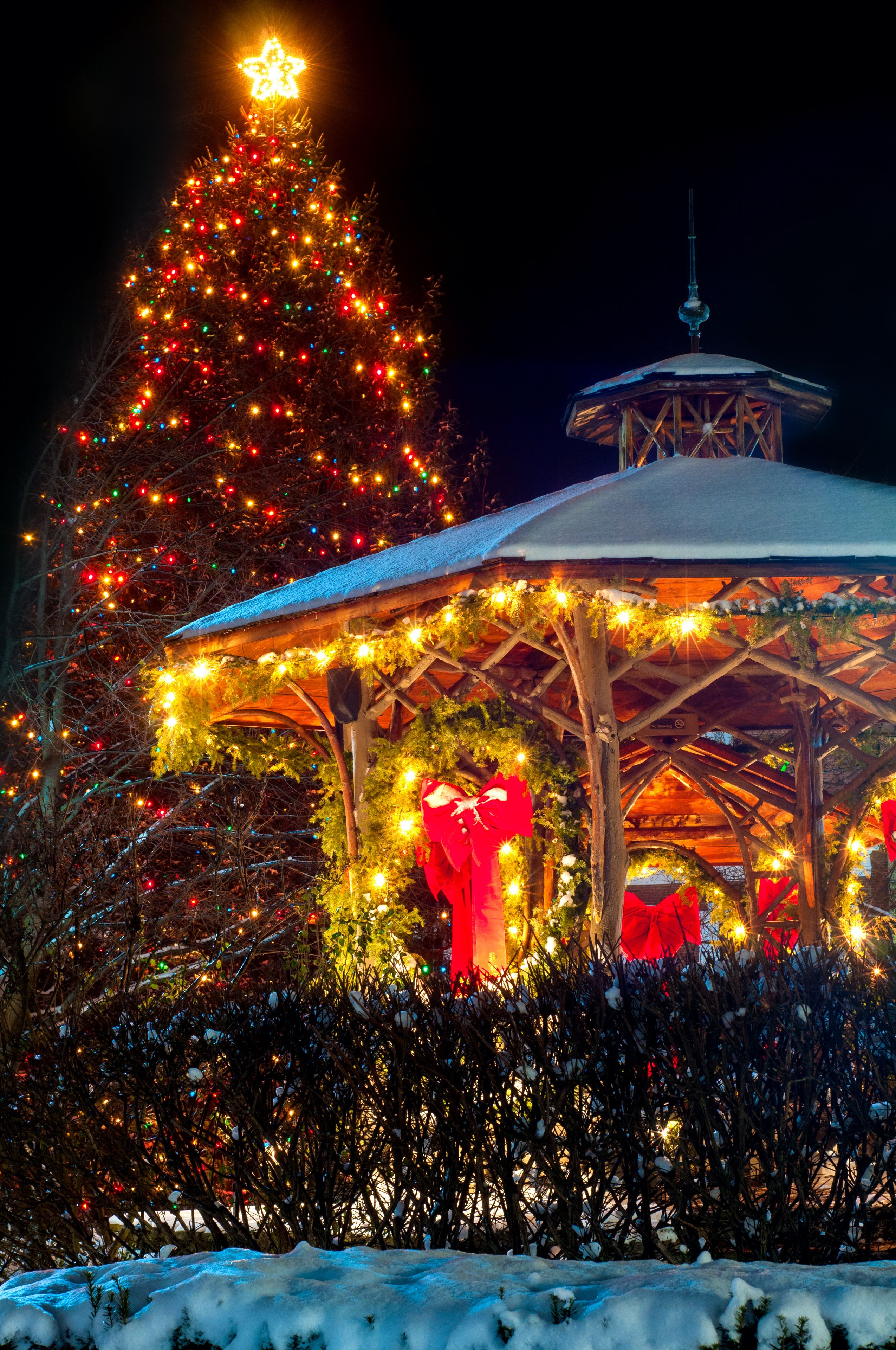 Un sapin de Noël décoré, surmonté d’une étoile, un kiosque enneigé et des illuminations festives.