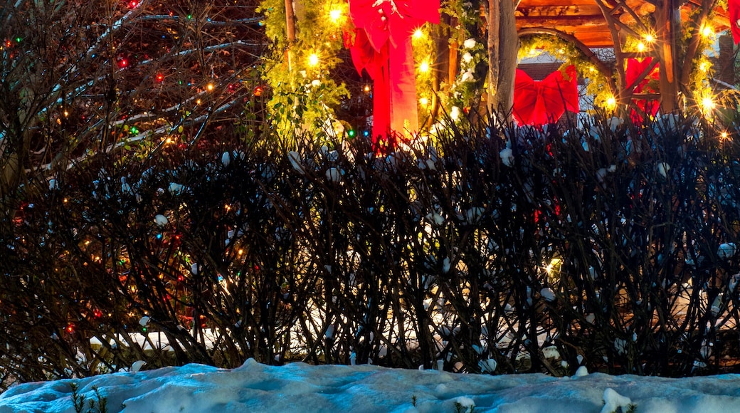 Un sapin de Noël décoré, surmonté d’une étoile, un kiosque enneigé et des illuminations festives.