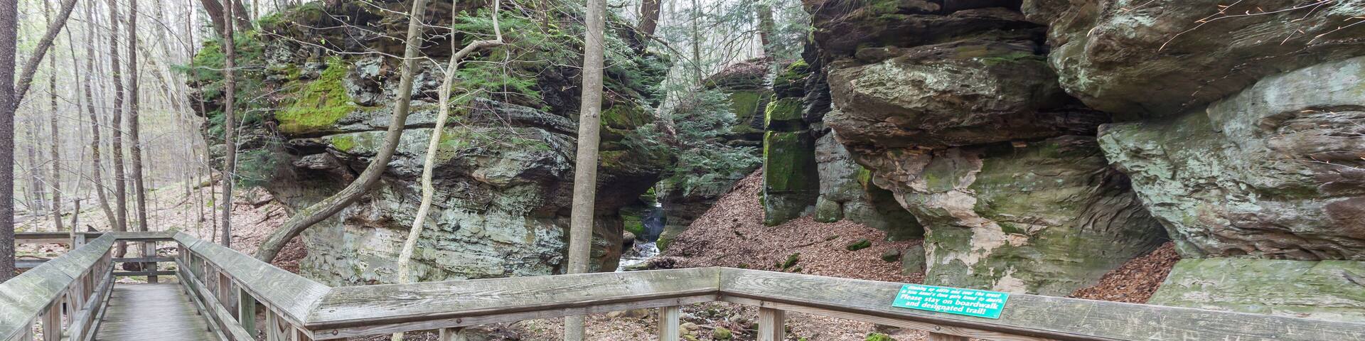 A wooden boardwalk through a forest with rocky cliffs and trees.