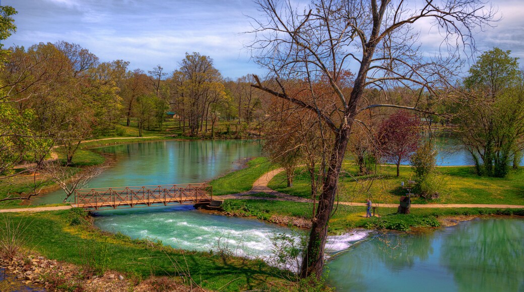 A View Mammoth Spring from Overlook Mammoth Spring State Park Mammoth Spring Arkansas With an average flow of nine million gallons of water per hour, One of the largest springs in the world.