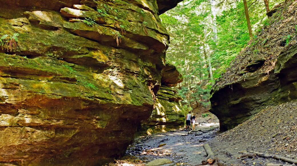 A couple winds their way through a ravine stream in Turkey Run State Park, Indiana.