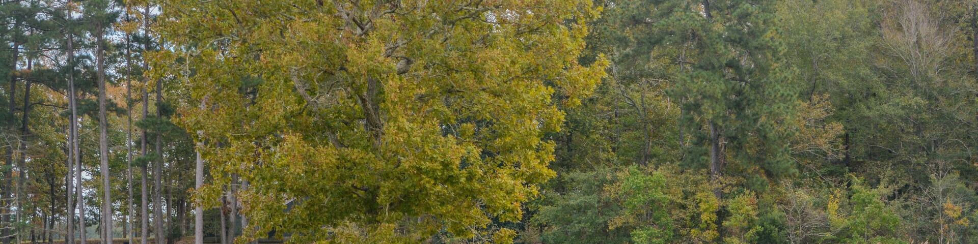 Beautiful Lake Lincoln State park has many recreational areas to enjoy, in Lincoln, Lincoln County, Mississippi