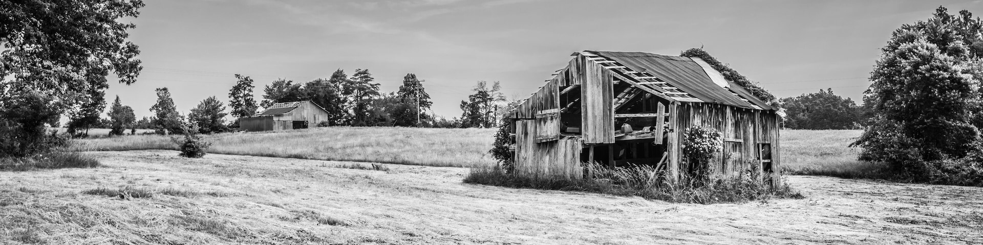 Old Barn in a Hayfield