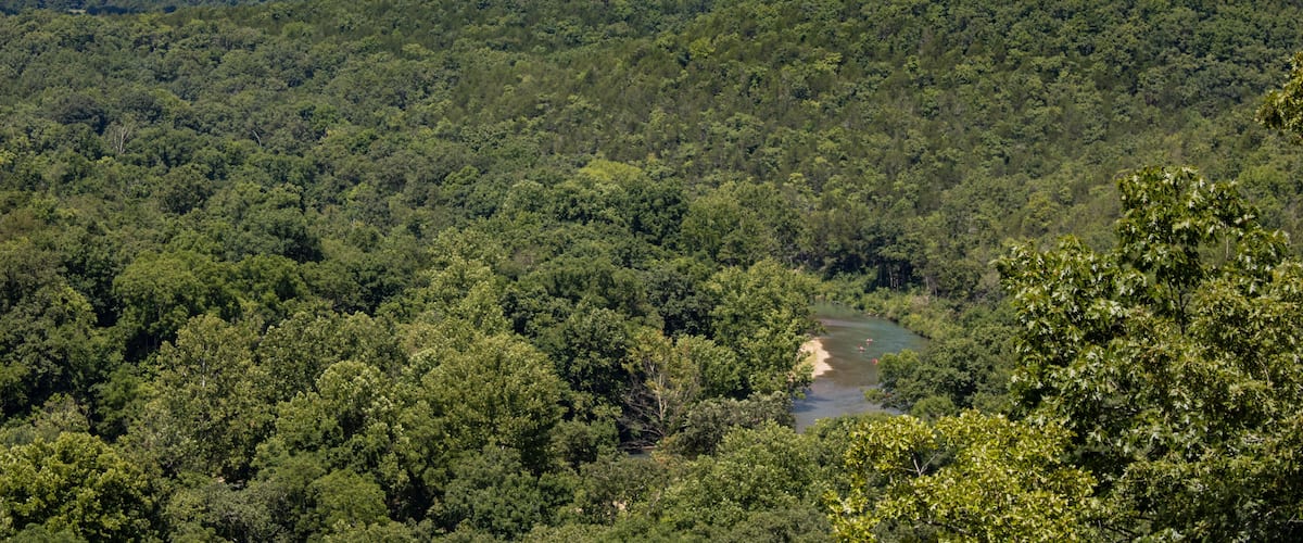A dense forest with a river and distant hills.
