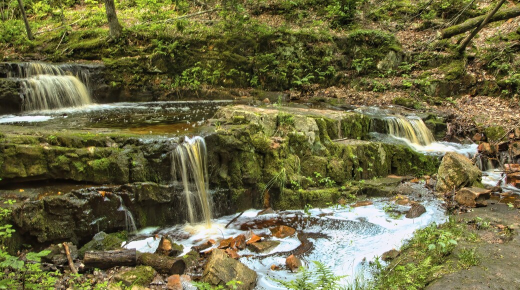 Tranquil Summer landscape of a peaceful stream forming three small waterfalls and a pool in the lush green Blue Hills forest near Weyerhaeuser, Wisconsin, USA.