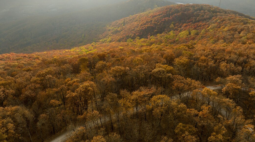 Aerial photo of Georgia Mountains during a beautiful fall sunset with sun rays