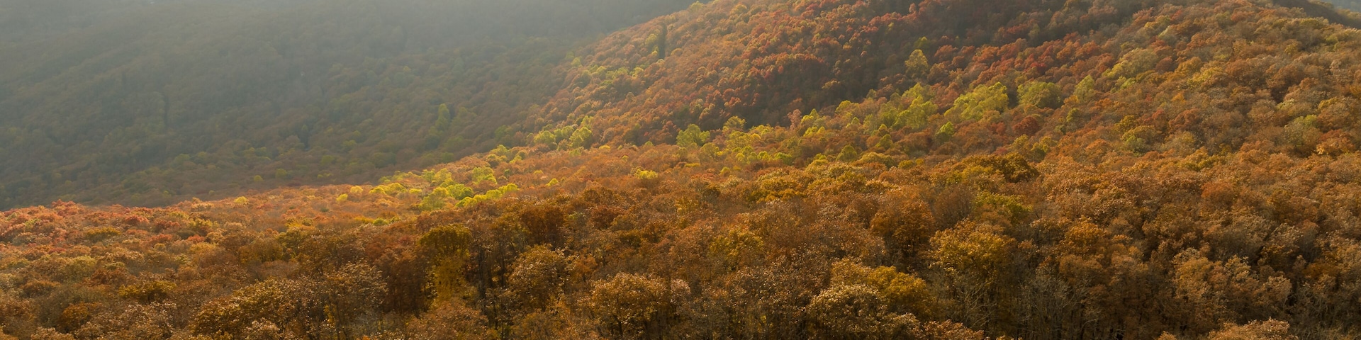 Aerial photo of Georgia Mountains during a beautiful fall sunset with sun rays
