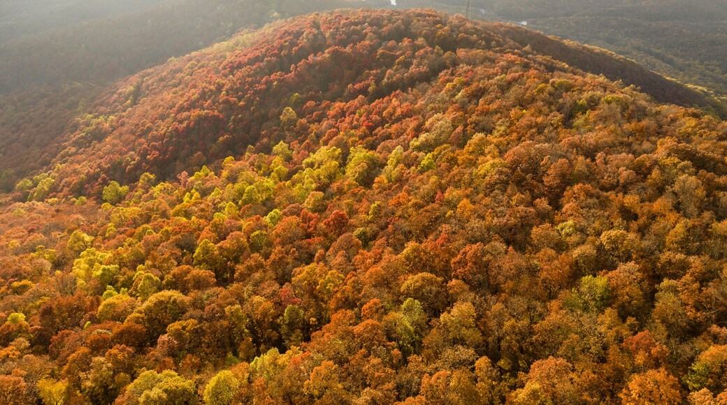Aerial photo of Georgia Mountains during a beautiful fall sunset with sun rays