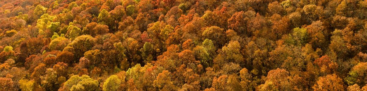 Aerial photo of Georgia Mountains during a beautiful fall sunset with sun rays