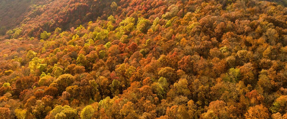 Aerial photo of Georgia Mountains during a beautiful fall sunset with sun rays