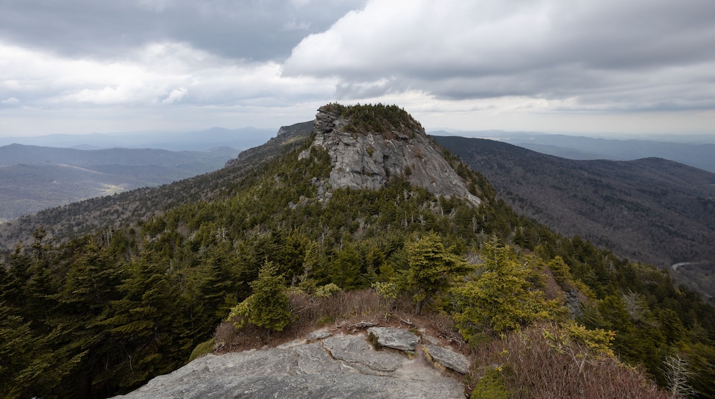 A mountain peak with a rocky summit and dense forest at its base.