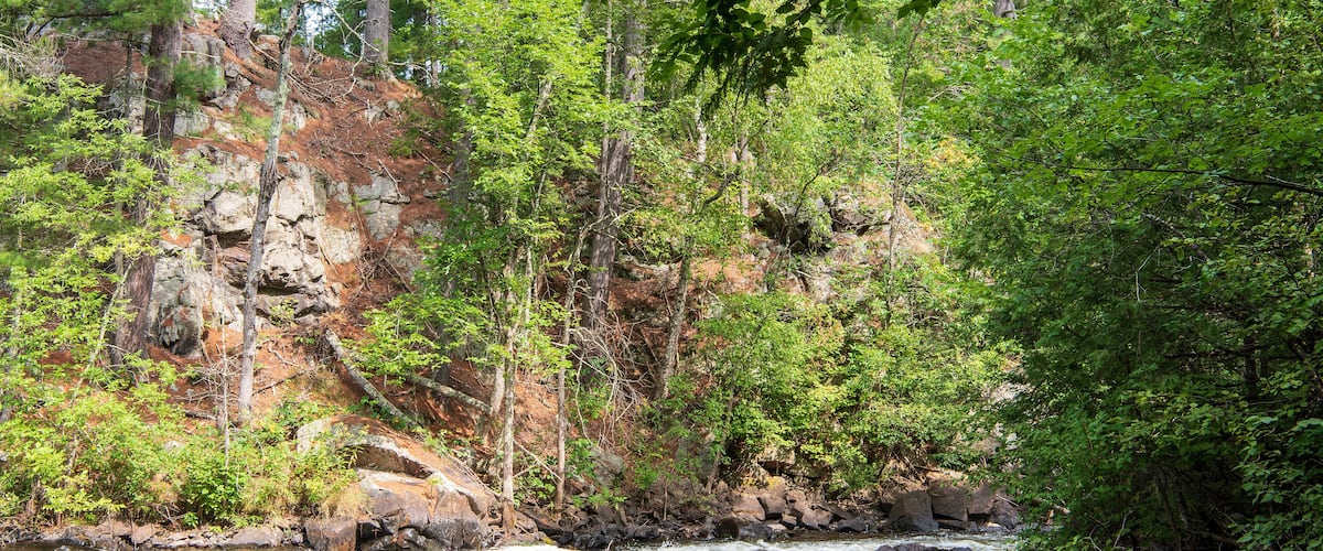 A river flowing through a forested area with rocky cliffs and dense green foliage.