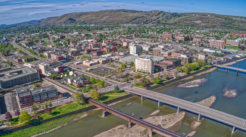 Elmira is a Town in Upstate New York on the Chemung River